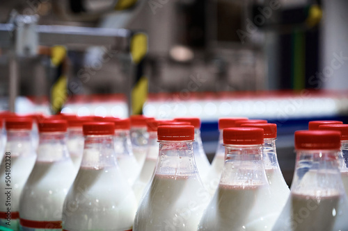 Row of bottles with pasteurized milk on conveyor belt