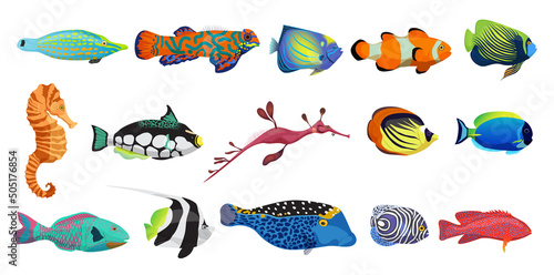 Cute fishes, exotic underwater animal characters set vector illustration. Cartoon marine creatures collection with clownfish seahorse moorish idol isolated white. Aquarium, aquatic life concept