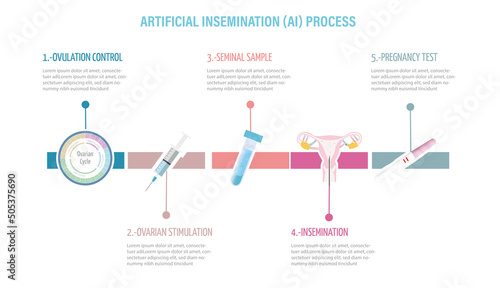 Infographic of the Artificial Insemination Procedure