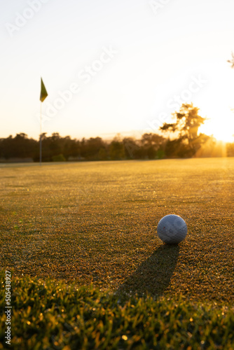 Golf ball on grassy landscape against trees and clear sky during sunset, copy space