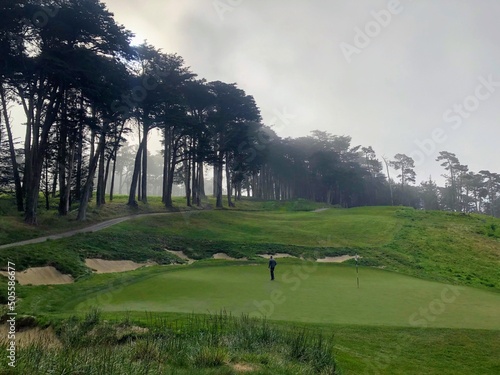 A photo one golfer on a beautiful golf course shrouded in fog, with large cypress trees, in San Francisco, United States