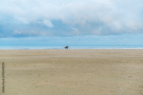 Deauville - plage et cheval