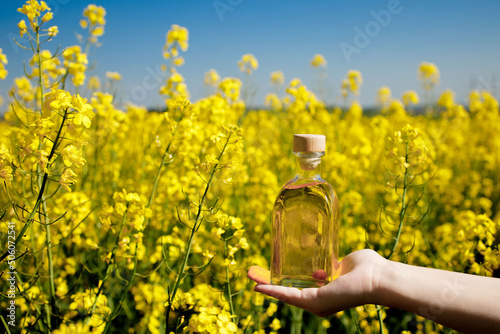 Rapeseed oil in a transparent glass bottle in hand on a background of rapeseed field