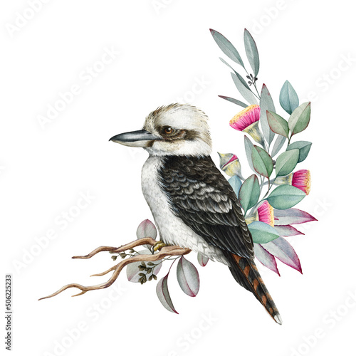 Floral natural decor with eucalyptus and kookaburra bird. Watercolor illustration. Natural floral decor with eucalyptus leaves and flowers. Australian native bird in decorative arrangement