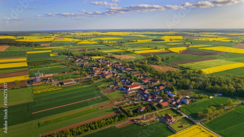 Pola rzepak Polska rolnictwo wieś