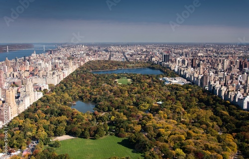 Aerial view of central park in New York