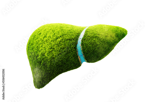 3D grass liver planet isolated 