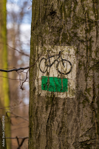 zielony szlak rowerowy w polskich lasach