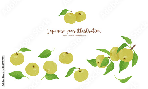 ナチュラルなタッチの和梨のイラスト/横レイアウト