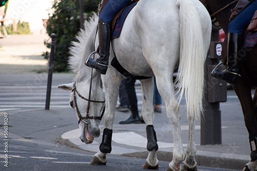 Garde républicaine à cheval patrouillant dans les rues de Paris