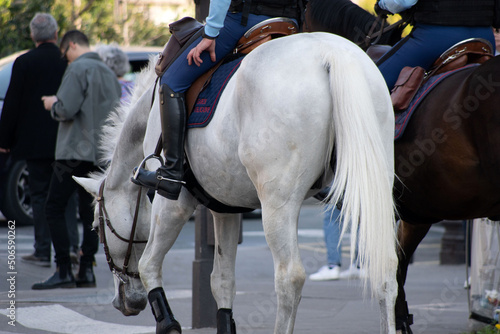 Garde républicaine à cheval patrouillant dans les rues de Paris