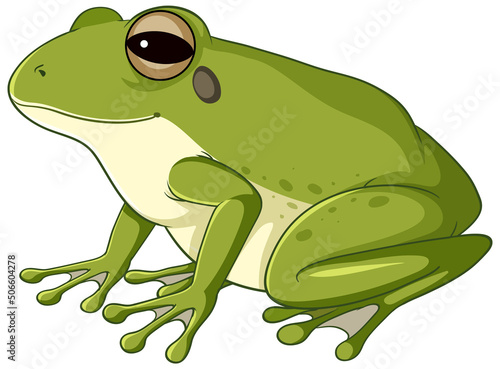 A green frog on white background