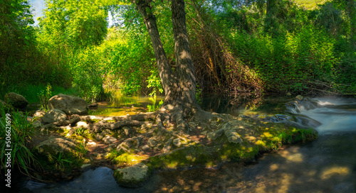 Natural environment of the Majaceite river, between the towns of El Bosque and Benamahoma, Cadiz.
