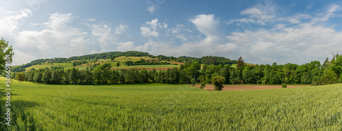 Landscape of the Monts du Lyonnais, in spring, in the Rhône in Auvergne-Rhône-Alpes, France