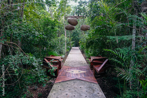 spiritual path in the jungle