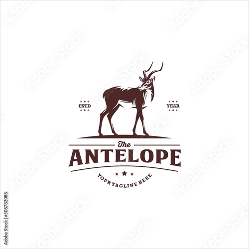 Antelope Logo Design Vector Image