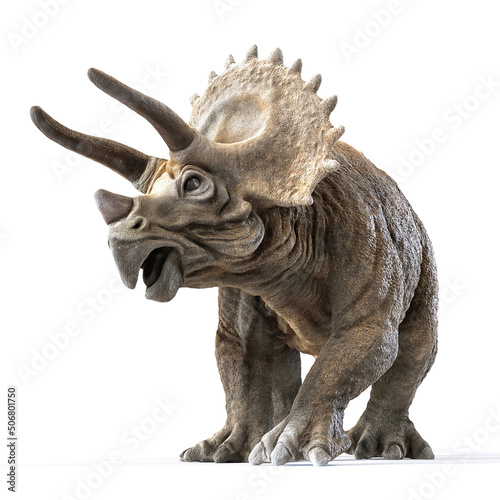 triceratops dinosaur on white rendering 3d rendering