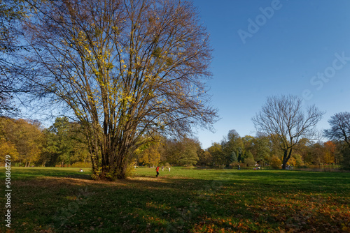 Zabytkowy park pałacowy w Pszczynie 