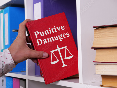 Punitive Damages are shown using the text