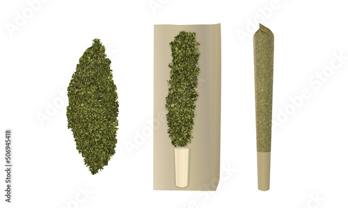 Vector Cannabis CBD Joint or Pre Roll with Shake Paper and Filter