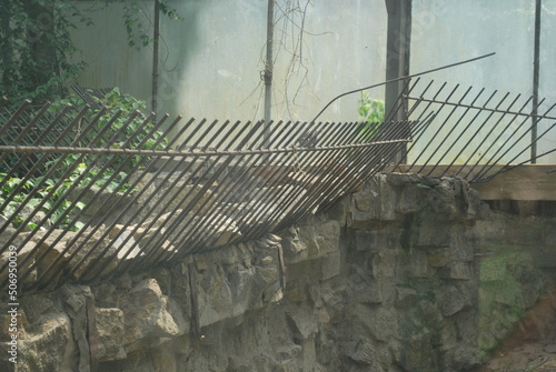 fencing, barriers, security at the zoo
