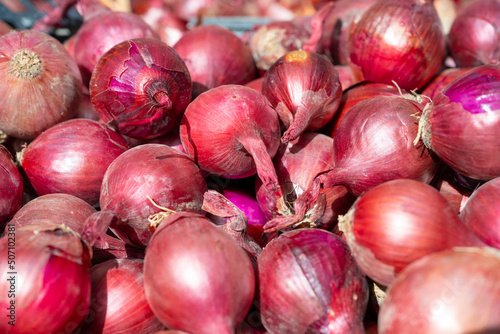 Oignons rouges en vente sur un étal