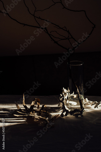 sunlight illuminates a glass vase, abstract composition, dark background