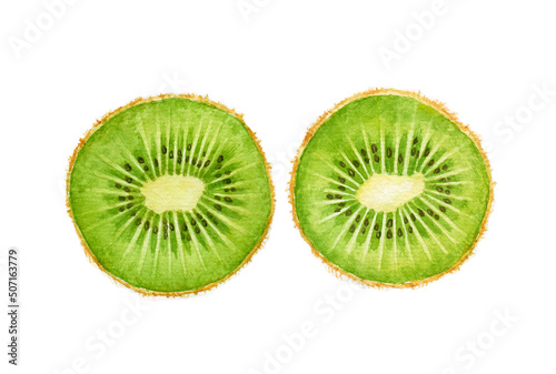 Watercolor kiwi cut isolated on white background.