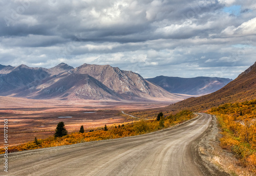 Yukon wilderness in Orange and Purple Foiliage