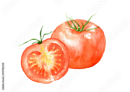 Watercolor illustration of tomato