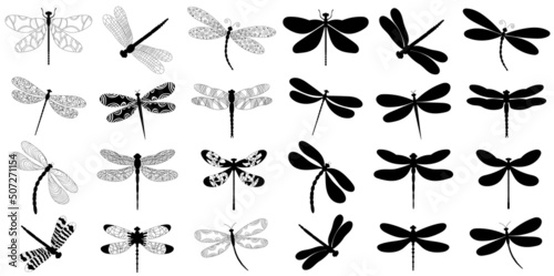 set of dragonfly black silhouette on white background, isolated, vector