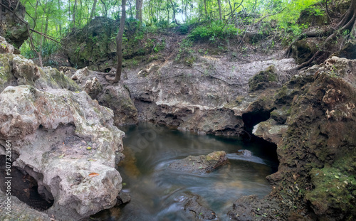 Edwards Spring (A.K.A. Ellaville Spring) on the Suwannee River, Suwannee County, Florida