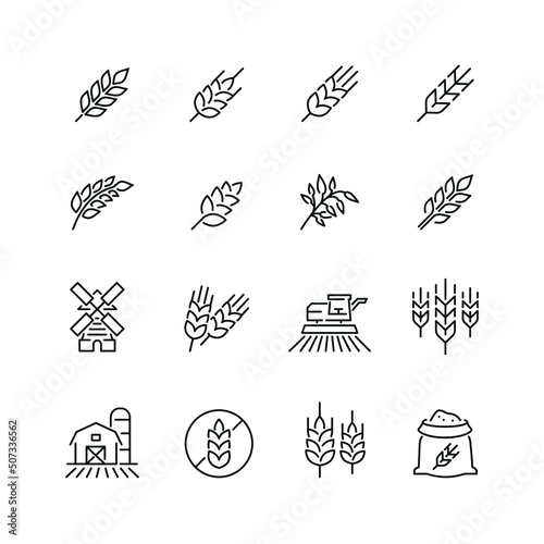 Cereal grain related icons: thin vector icon set, black and white kit