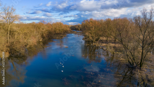 reflection of trees in the water, swans, Kępa Dzikowska