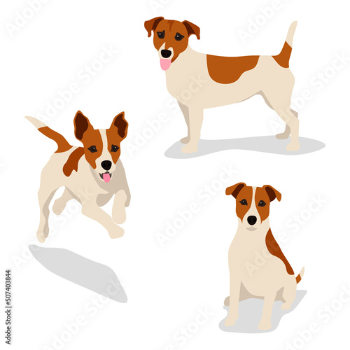 Jack russell terrier picture set. Funny pet dog flat vector illustration. Fox hunter small terrier, in full growth view