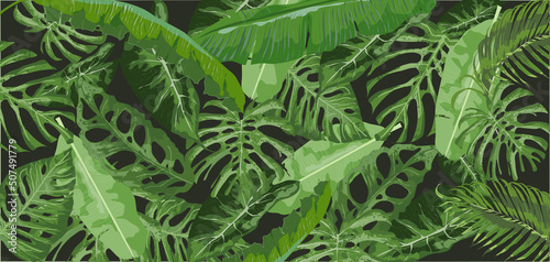 Tło roślinne. Rośliny tropikalne na ciemnym trle. Bananowiec, monstera, palma. Liście egzotyczne