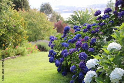 Jardin frente al lago en Chile