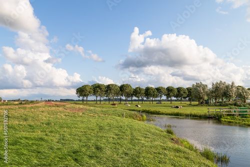 Small river in the Dutch polder landscape.