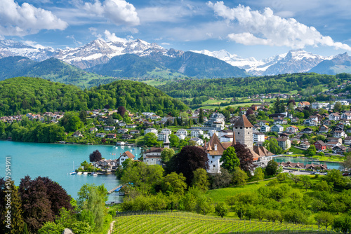 amazing view on Spiez town, Thun lake and Alps mountains in Switzerland