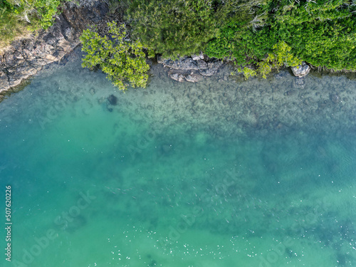 Downward aerial view of beach and crystal clear water in Coffs Harbour