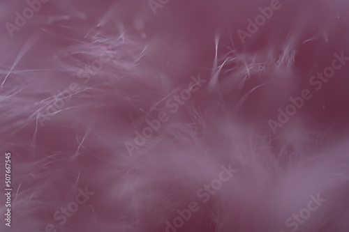 Fluffy fibers, as a pastel, pink background in the movement of the wind - delicacy, absent-mindedness expressed in a macro image