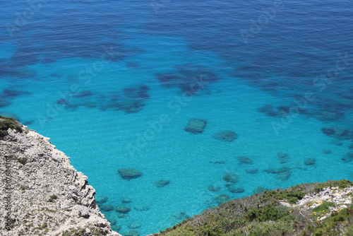 coral reef in the sea