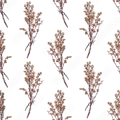Seamless pattern watercolor dried wild flower wormwood isolated on white background. Hand-drawn brown branch herb for decor. Botanical antique illustration for wallpaper florist. Nature art