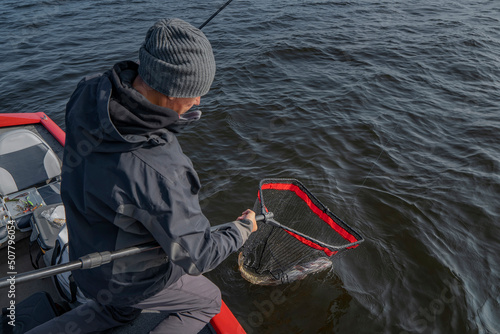 Fisherman takes pike fish by fishing landing net