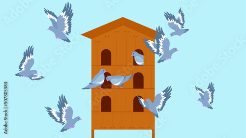 Pigeons fly near the dovecote