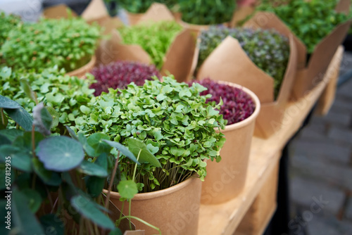 Various sprouts and microgreens on display at the farmers market