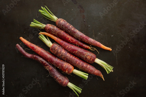 Red baby carrots on dark background
