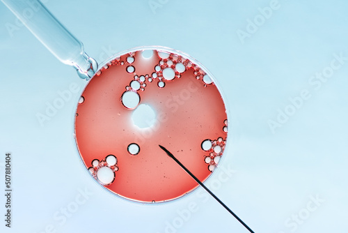 In vitro fertilisation concept. Artificial insemination or fertility treatment macro photography.