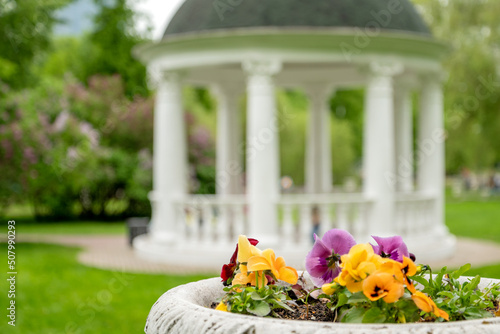 Blooming flowers in summer park with blurred white rotunda on background