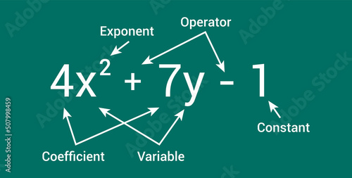 parts of polynomial algebraic expressions